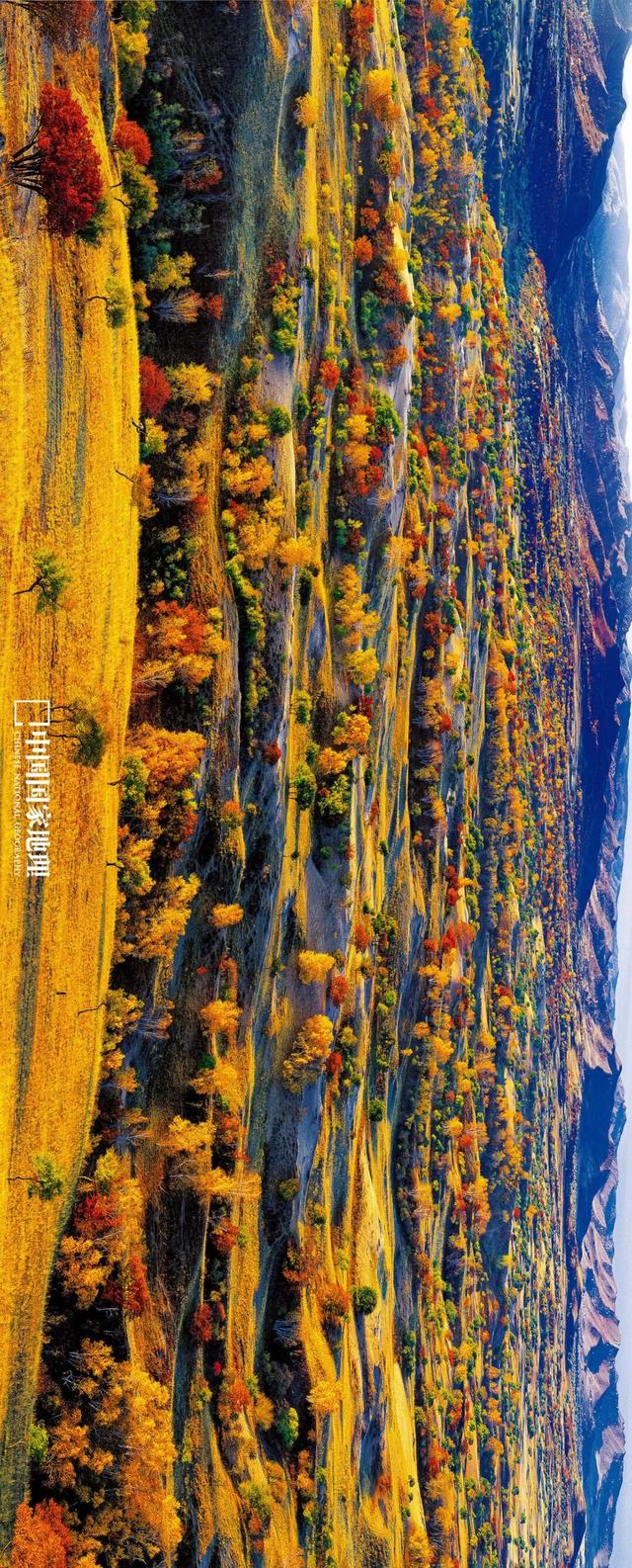 最被低估的秋景，一眼封神！