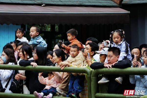 岁暖时刻丨西双版纳森林公园：彩裙碰彩伞，傣风裹着蕉香漫