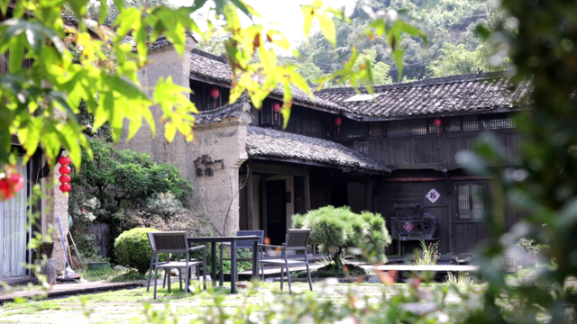 双节将至！莲都这些地方太火爆了