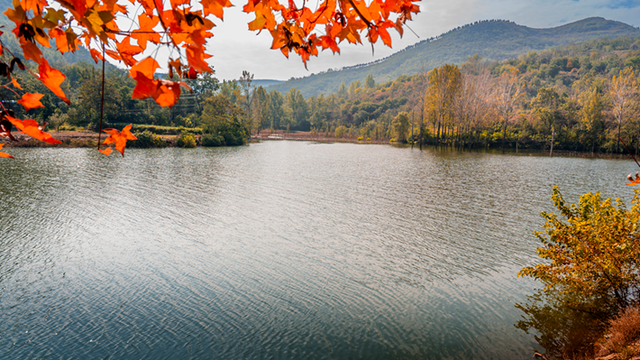 图说遂平：层林尽染红石崖 漫山红叶醉秋风