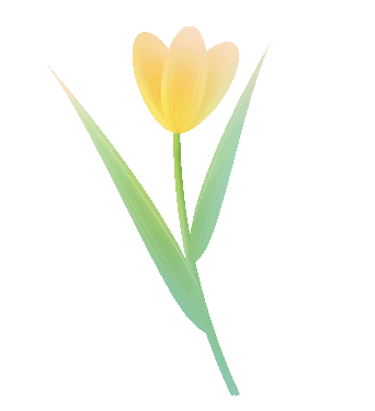 别信秋天萧瑟！凉山的花：我们才是秋天的“显眼包”