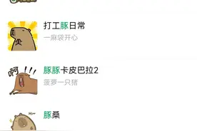 “情绪稳定”的水豚，成了社交平台新晋网红图片