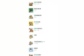 “情绪稳定”的水豚，成了社交平台新晋网红图片