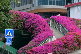 周二继续晴朗干燥，台风“桃芝”周三起带来阴雨图片