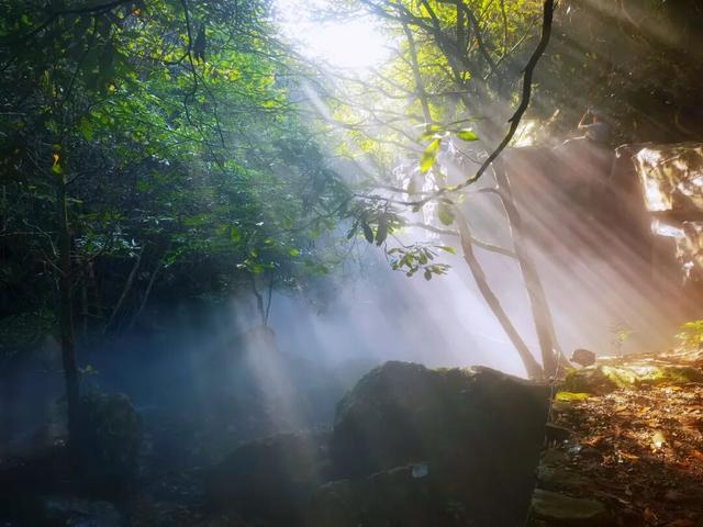 12月1日起，红山谷景区免门票3个月!