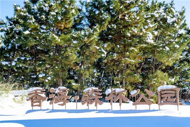 落雪的那香海，是冬日路过人间的情书