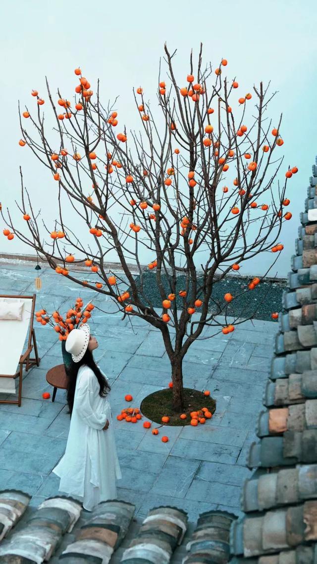 桂林这几个地方火了！超绝松弛感，治愈年末焦虑！