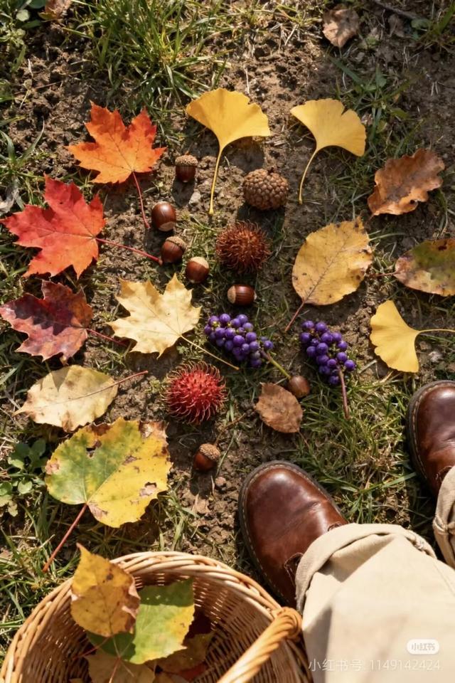 今日立冬！三个仪式解锁肥城初冬的终极浪漫！