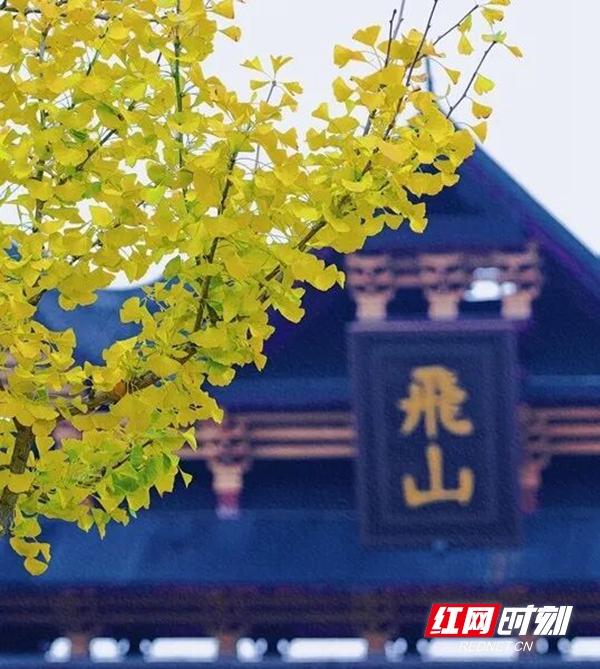 “拾起”最美的秋天 “怀化捡秋地图”来了