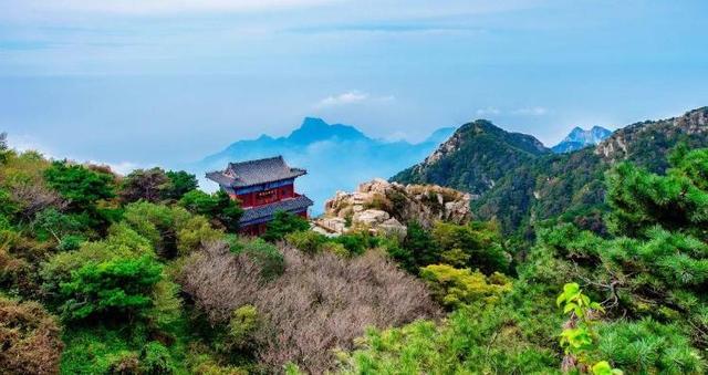 谁说旅游靠腿？来山东这么玩，日均步数＜5K！