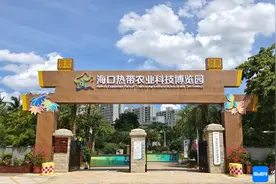 海南这群科技工作者让大众认识热带农业科技图片
