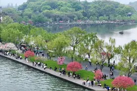 清明假期西湖还有哪些错峰玩法？小众路线看这里图片