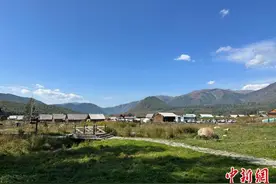 固旧布新 古老禾木焕活力图片