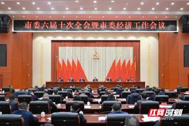 对标对表抓好落实 郴州市委六届十次全会暨市委经济工作会议引发热烈反响图片