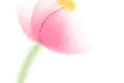 wǒ men 的故事 由自己书写图片