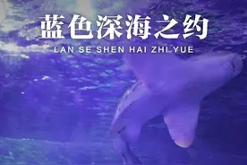 炎炎夏日赴一场“海底”之约，盘点杭州及周边5大海洋公园图片