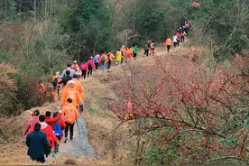 眉山天府新区：从“靠山吃山”到“靠山致富” 高家镇的露营“致富经”图片