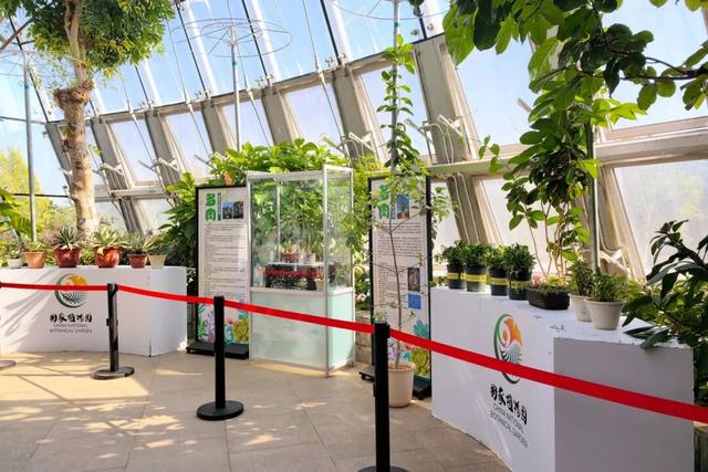 缤纷花事扮靓金秋！国家植物园假期游园攻略来啦