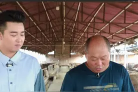 闪电调研走一线｜规模化养殖到底有哪些好处？阳信“养牛”有门道图片
