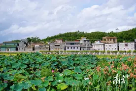 台山桂水村入选省“美丽庭院”特色村图片