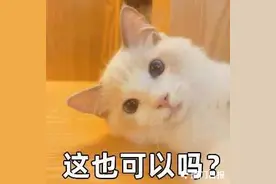 厦门男生刚满19岁，父母张罗为他相亲！父母帮你脱单的心，get到了吗？图片