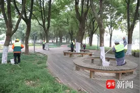 知道吗？初冬对城区行道树“涂白”，至少有3大好处图片