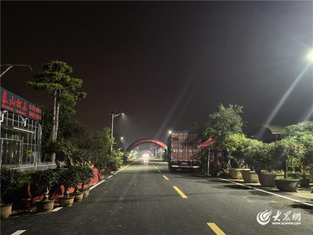 国庆中秋长假，就逛泰山国际花木城！白天嗨玩大集，夜晚风雅看展！
