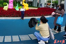 从动物园路开始亲近自然，动物园门前绿化吸引市民游客拍照留念图片