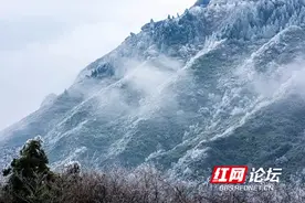 南岳衡山冷出雾凇了！来欣赏南方高山独特的冰雪风光图片