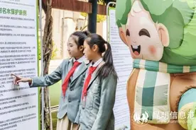 昆明市召开2025年全民义务植树暨古树名木保护新闻发布会图片