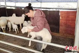 （乡村行·看振兴）慈善扶农 浙江庆元特色资源“金钥匙”打开增收“幸福门”图片