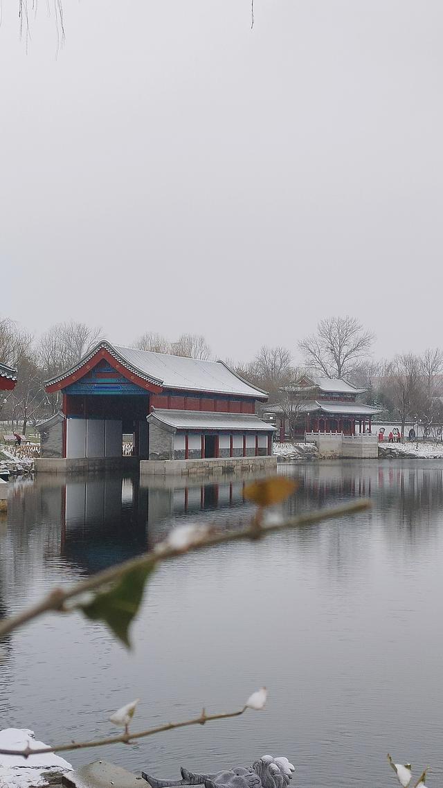 京城初雪如约而至！雪落无声，人游有影