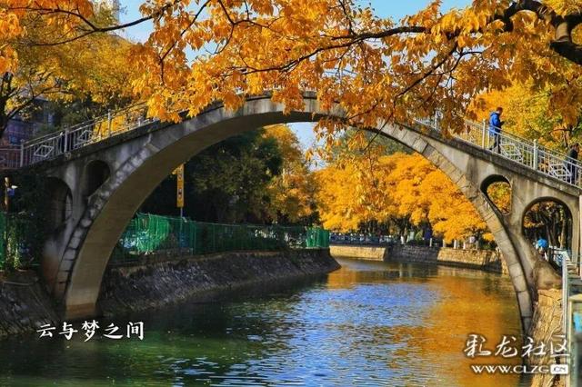 超绝出片攻略！滇池畔的秋天，把“童话”搬进了现实！这一波必须冲~