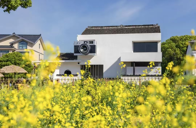 2025青春这Young丨这些青年学习社线路， 你打卡了几条？