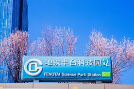 丰台科技园站D口“空中桃花”绽放，一座“花里花气”的地铁站图片