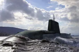 英媒：英海军花费数天追踪“俄罗斯潜艇”，结果发现可疑声呐信号可能来自鲸鱼“肠胃胀气”图片