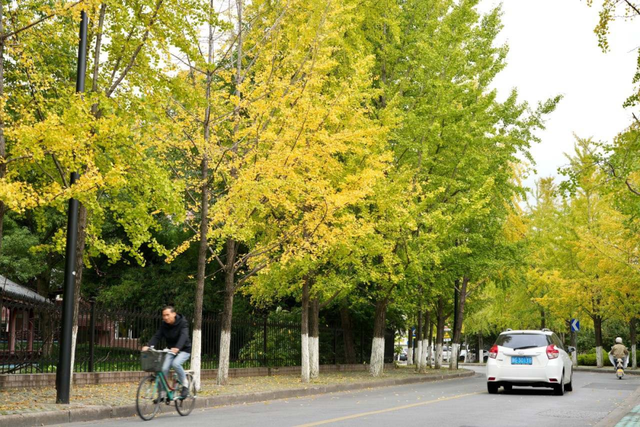 美翻了~这个秋假，来南湖吧！