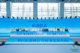 跨界融合 2024广州全球茶业交易博览会开幕图片