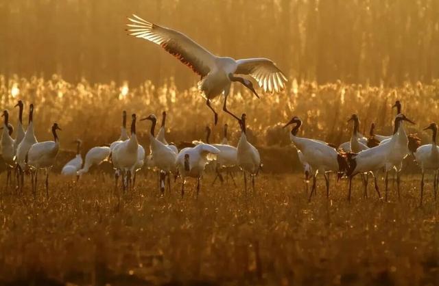 新年游玩线路：老自一条，老己一条，自己一条
