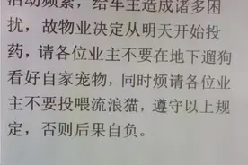 长春一小区通知将对地下车库流浪猫投药，物业：为了警醒遛狗业主，不是毒害流浪猫图片