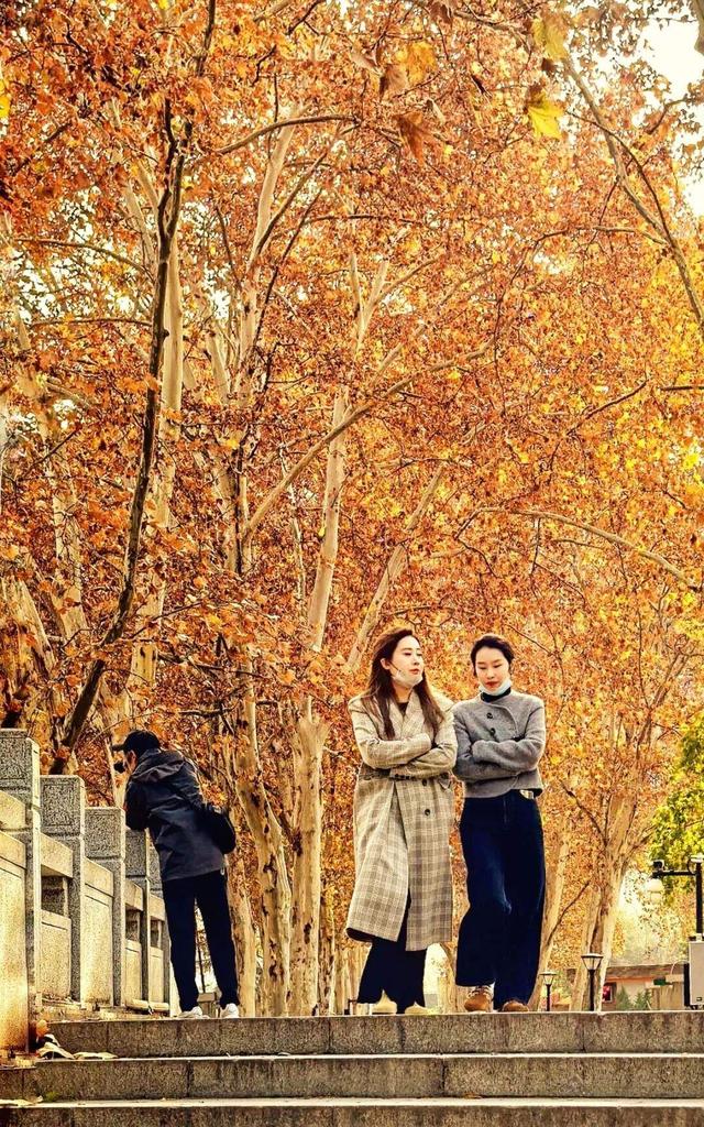 大武汉一日 | 这样解锁武汉的初冬浪漫，值了！