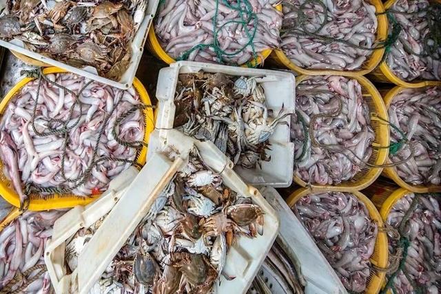 跟着交通去旅行 | 洞天福地，海上花园