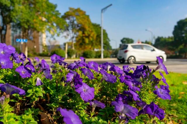 宜兴，一路斑斓！