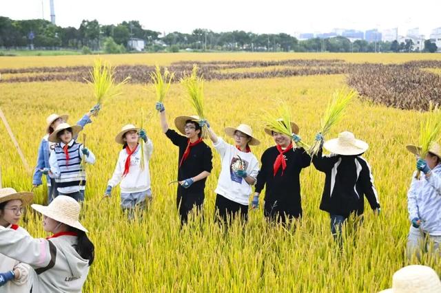 你手里的票根，又升值了！