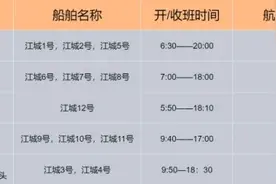 武汉这条轮渡恢复运营！甲板开放、天青线最新消息来了！图片