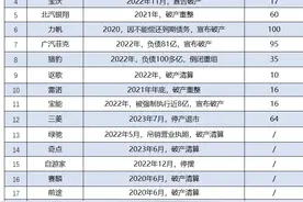 20多家车企停摆，600多万车主被“遗弃”，售后谁来兜底？图片