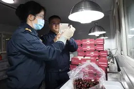 92吨！首批智利2024产季车厘子空运到成都了！图片