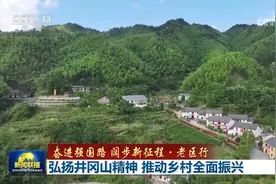 弘扬井冈山精神 推动乡村全面振兴图片