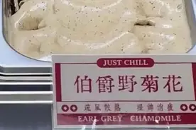 中药冰激凌，真的养生吗？图片