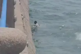 “巧克力大爷”再出手！音乐广场有人落水，他们跳水急救援图片